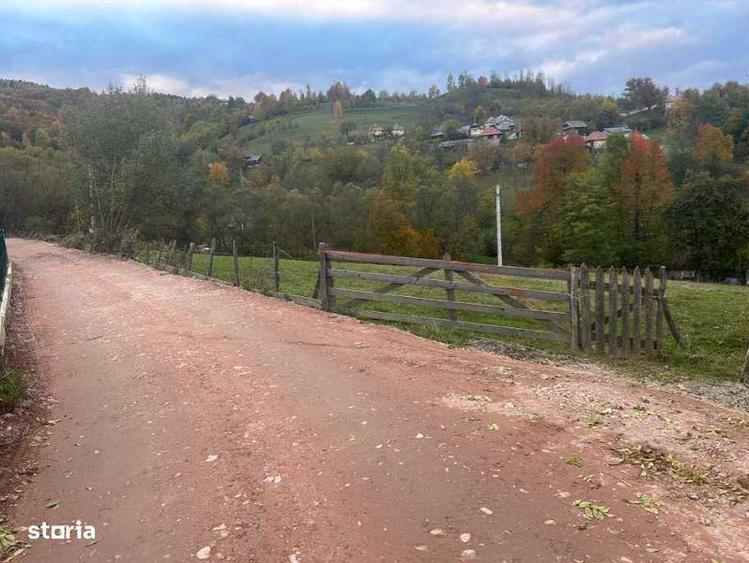 Teren de 5800 mp, în Lupșa