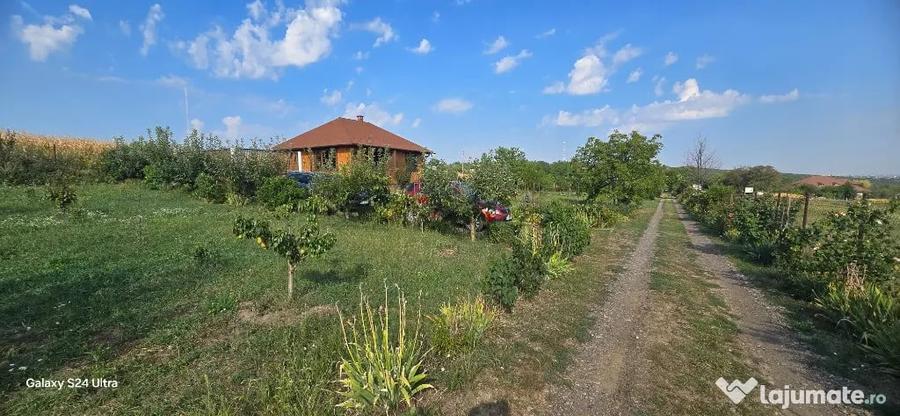 Teren in suprafata de 2400 mp cu cabanuta - 5