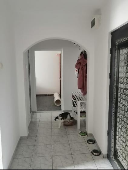 Apartament cu 2 camere decomandat în Frumoasa
