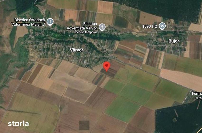 Teren de 3000 mp, în Radovan