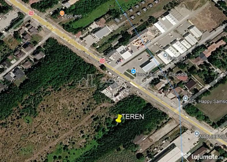 Teren Crevedia Stradal- TSV - 1