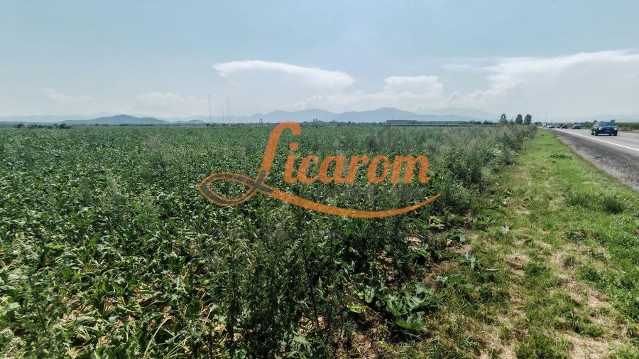 Teren Construcții intravilan de 38500 mp, în Feldioara