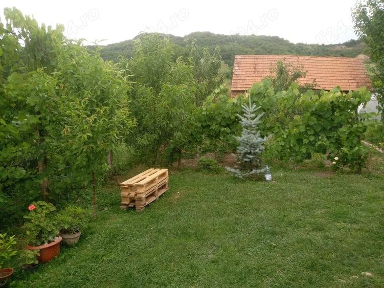 Casă cu 3 camere cu Teren 1400 Mp în Amnaș