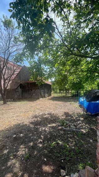 Teren Construcții intravilan de 2034 mp, în Baciu