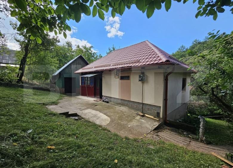 Casă individuală cu 2 camere cu Teren 10000 Mp în Almașu Mare
