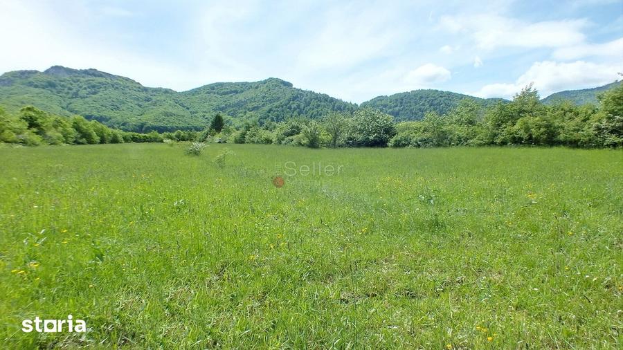 Teren de 2900 mp, în Zărnești