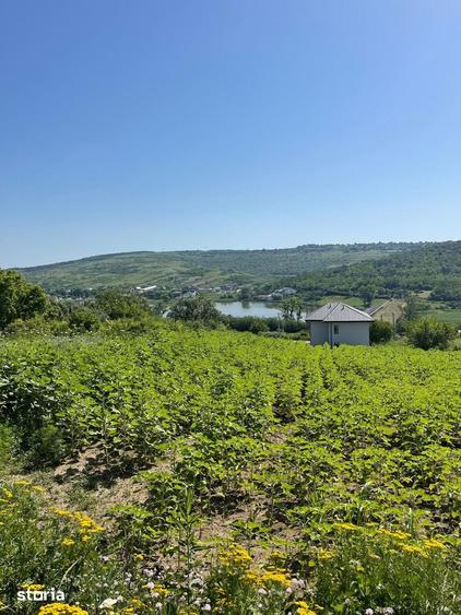 Teren de 600 mp, în Aroneanu
