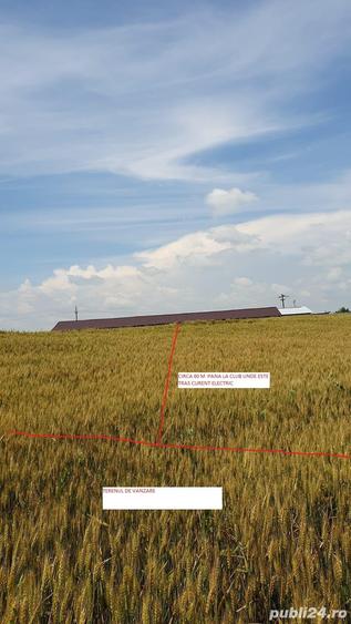 Teren de 5900 mp, în Curcani