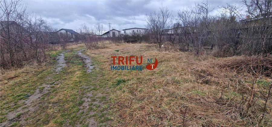 Teren Construcții intravilan de 2200 mp, în Cetate