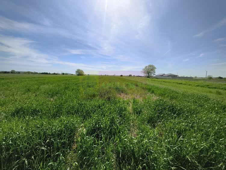 Teren Construcții intravilan de 2200 mp, în Dărăști-Ilfov