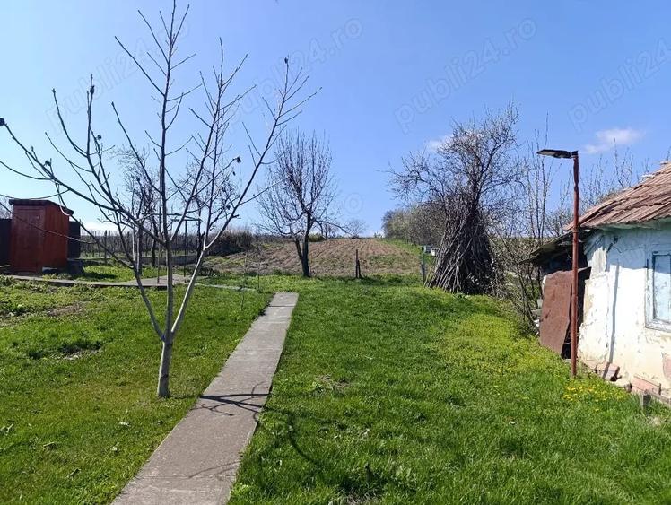 Casă cu Teren 10000 Mp în Ionășeni (Trușești)