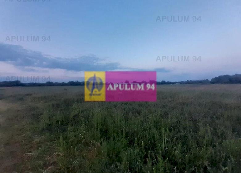 Teren Construcții intravilan de 3820 mp, în 1 Decembrie