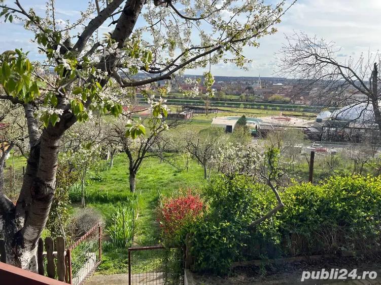 Teren de 429 mp, în Central