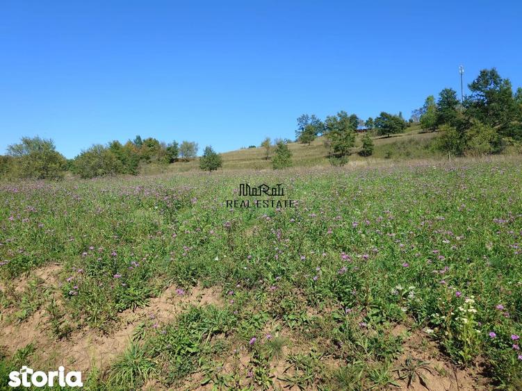 Teren de 8757 mp, în Luncoiu de Jos