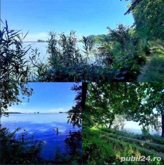 Teren de 5000 mp, în Frumușani