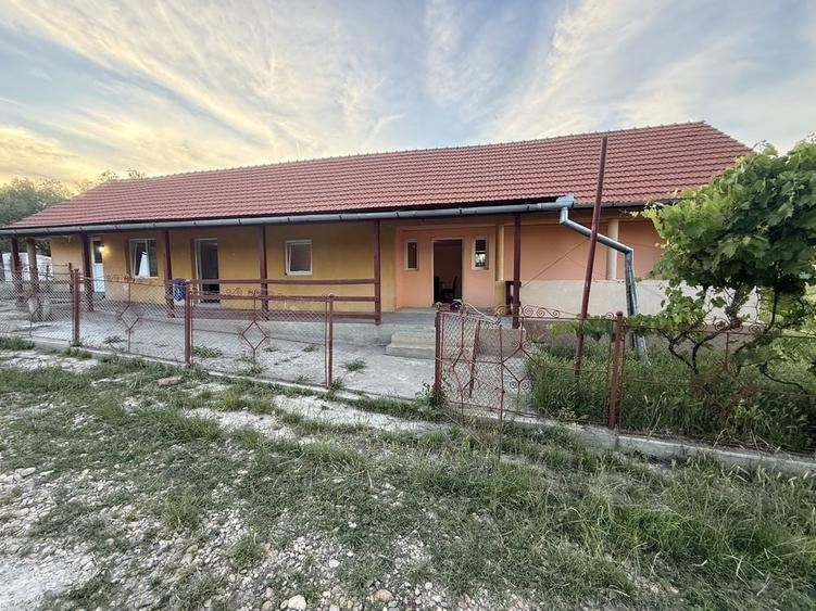 Casă cu 3 camere în Tritenii-Hotar