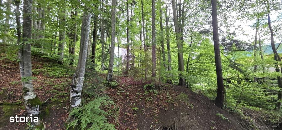 Teren intravilan 720 mp Sinaia - 7