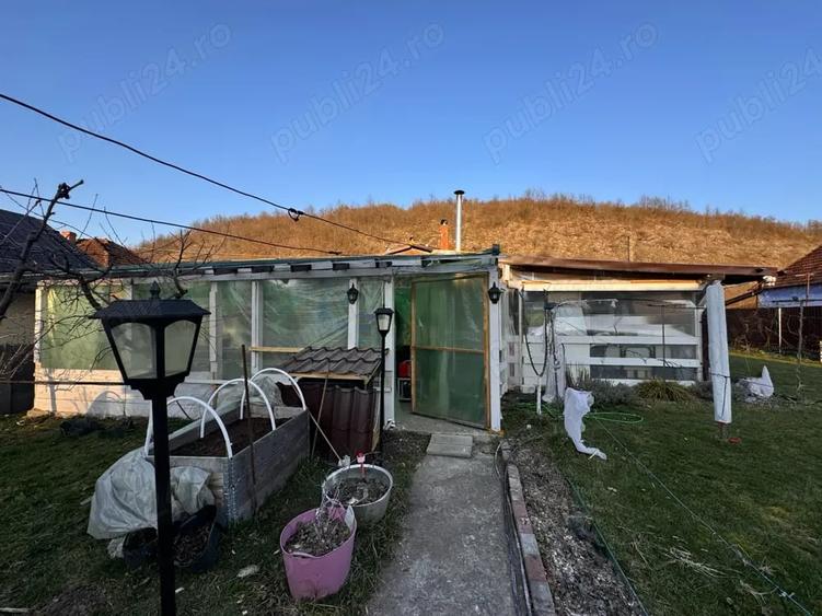 Casă cu Teren 2900 Mp în Trestia