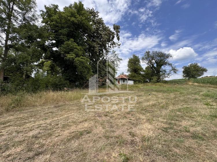 Teren Construcții intravilan de 7492 mp, în Fornădia