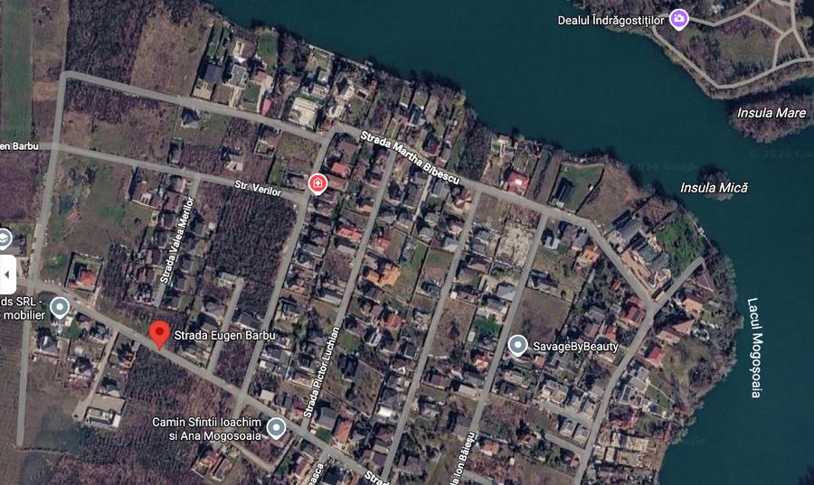 Teren Construcții intravilan de 3000 mp, în Mogoșoaia