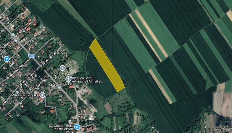 Teren agricol extravilan de 22000 mp, în Gruiu