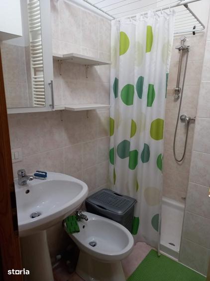 studio Complex Elisbetinin, Judetean 350 EUR/luna - 6