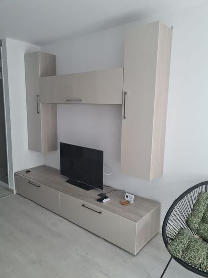 Garsoniera Hils Brauner - 8
