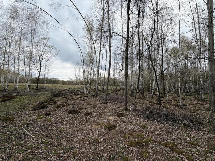 Teren de 15000 mp, în Izvoru