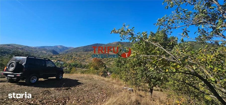 Teren de 4126 mp, în Meteș