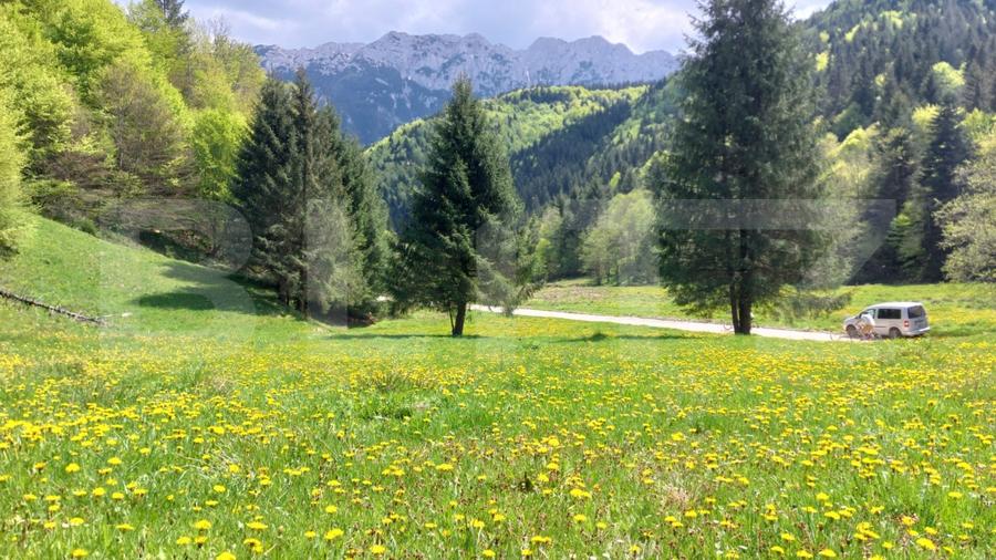 Teren extravilan de 5170 mp, în Plaiul Foii