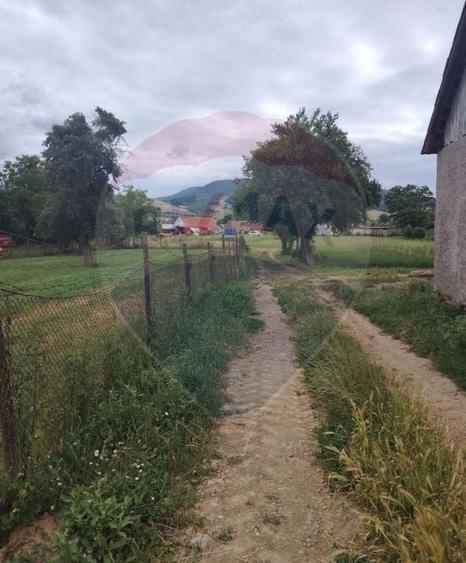Teren Construcții intravilan de 1620 mp, în Comana de Jos