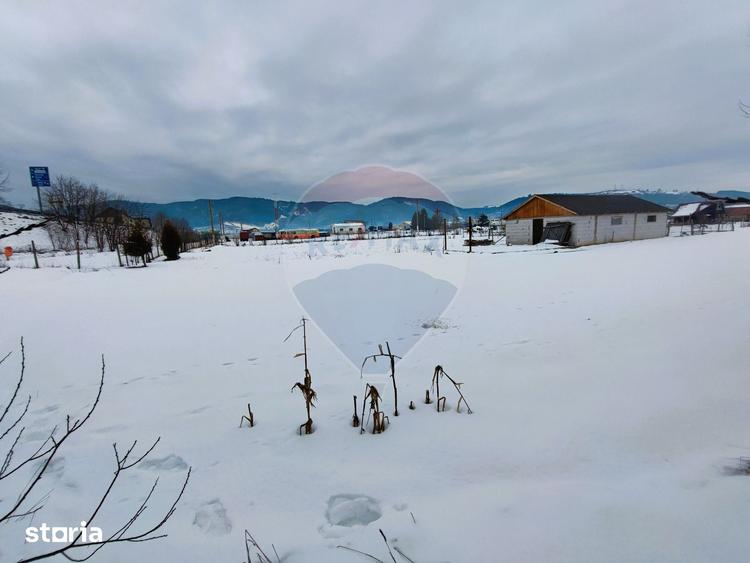 Teren de 9574 mp, în Iacobeni