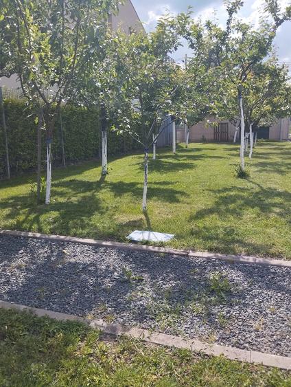 Teren de 595 mp, în Săcălaz