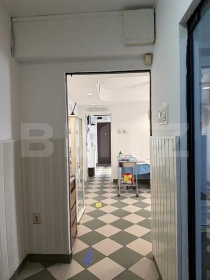 Spațiu comercial, de 113.69999694824 mp, în Calea Severinului