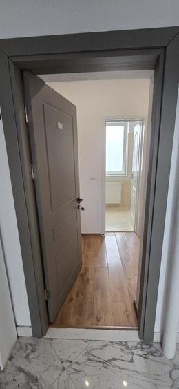 Apartament cu 2 camere decomandat, mobilat în Iosefin