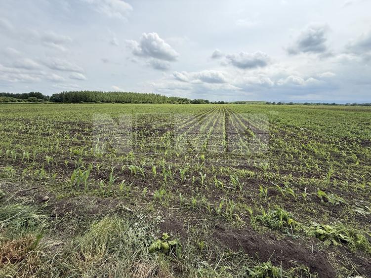 Teren agricol extravilan de 3750 mp, în Central