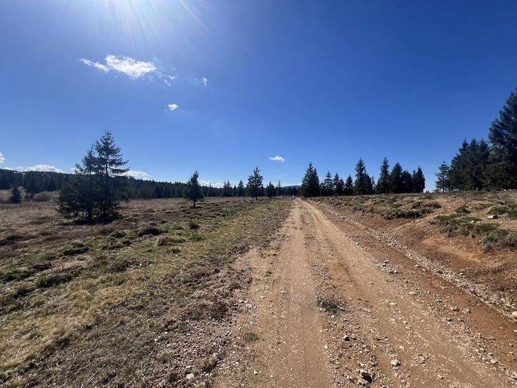 Teren de 1000 mp, în Beliș