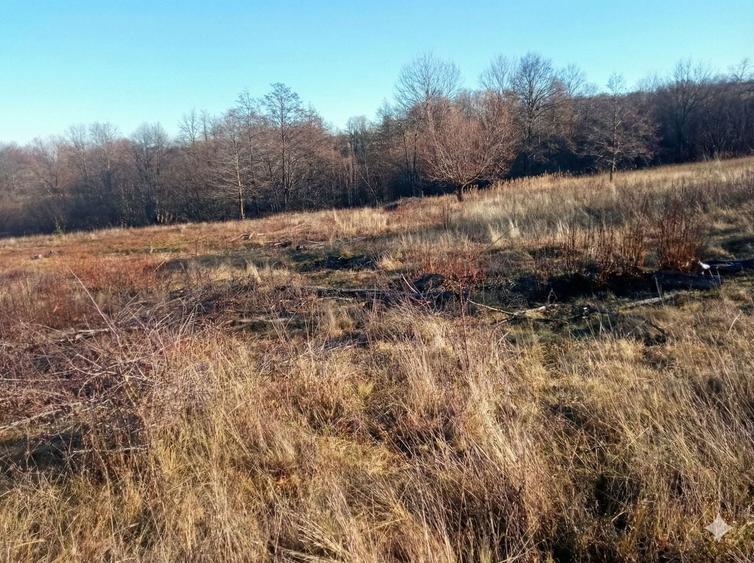 Teren Construcții extravilan de 5000 mp, în Vicovu de Jos