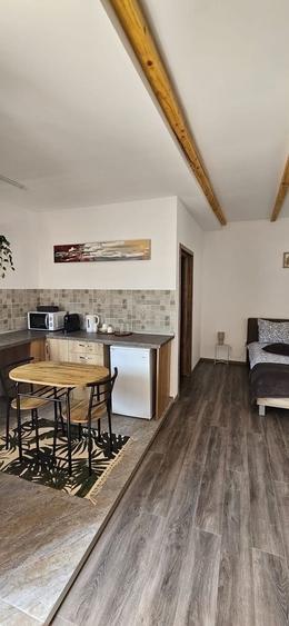 Apartament în Central