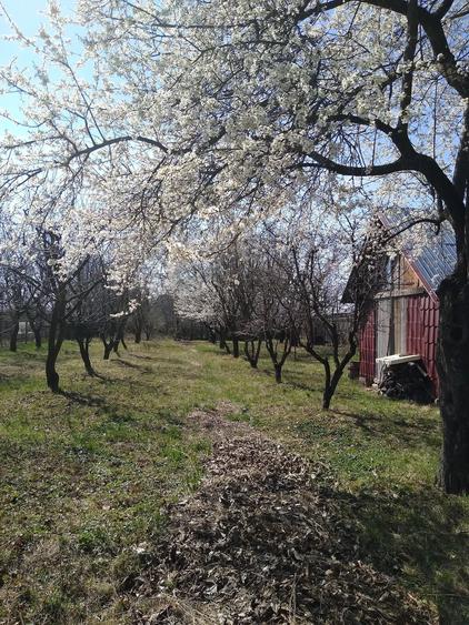 Teren de 1000 mp, în Central