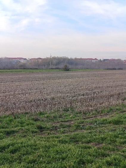 Teren de 8000 mp, în Central