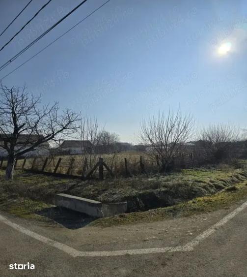 Vand teren intravilan Jebel 5 parcele, intre 500-750mp bucata - 4