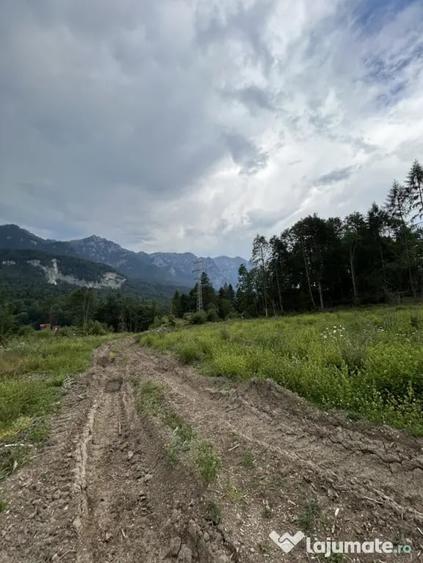 Teren în Cumpătu