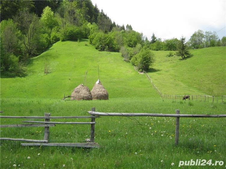 Teren de 2800 mp, în Dâmbovicioara