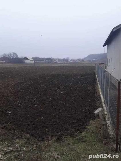 Teren de 2000 mp, în Bora