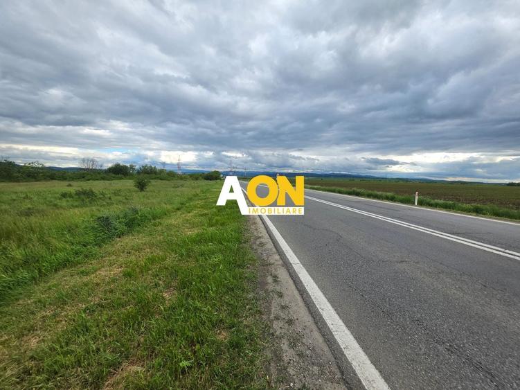 Teren Construcții intravilan de 2900 mp, în Sud