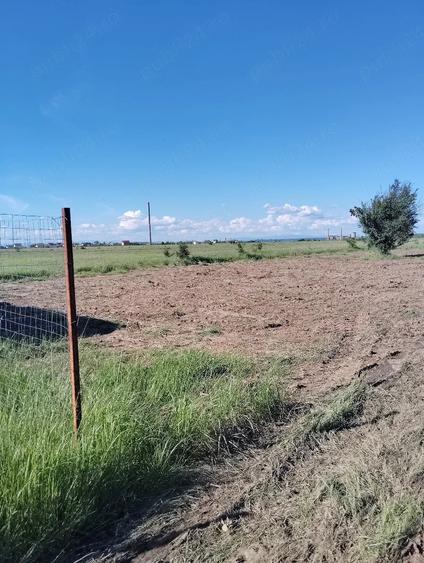 Teren de 303 mp, în Bradu