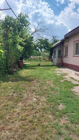 Casă cu 3 camere cu Teren 2138 Mp în Satu Nou