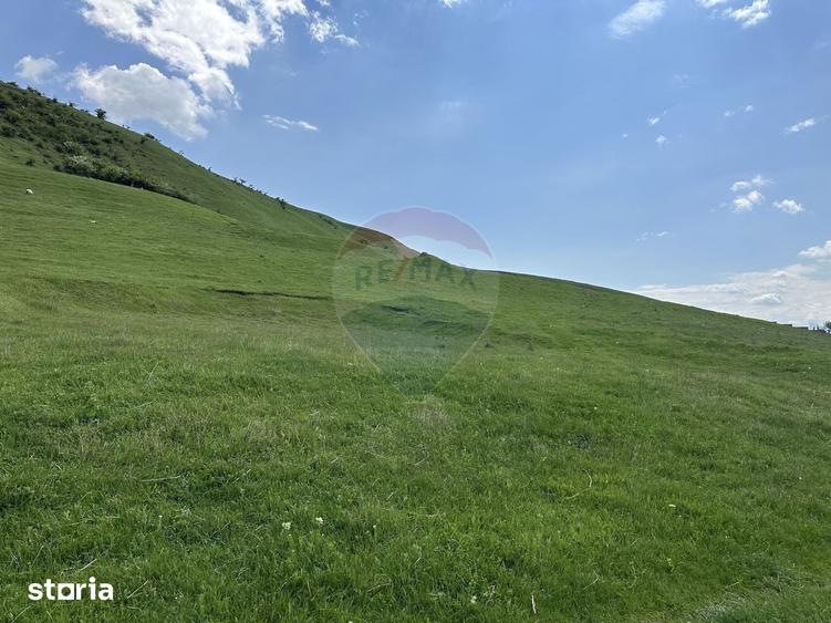 Teren de 1000 mp, în Gârcina