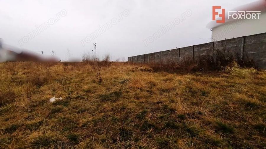 Teren intravilan pretabil constructii, Sacalaz - Asfalt, utilitati la strada - 1